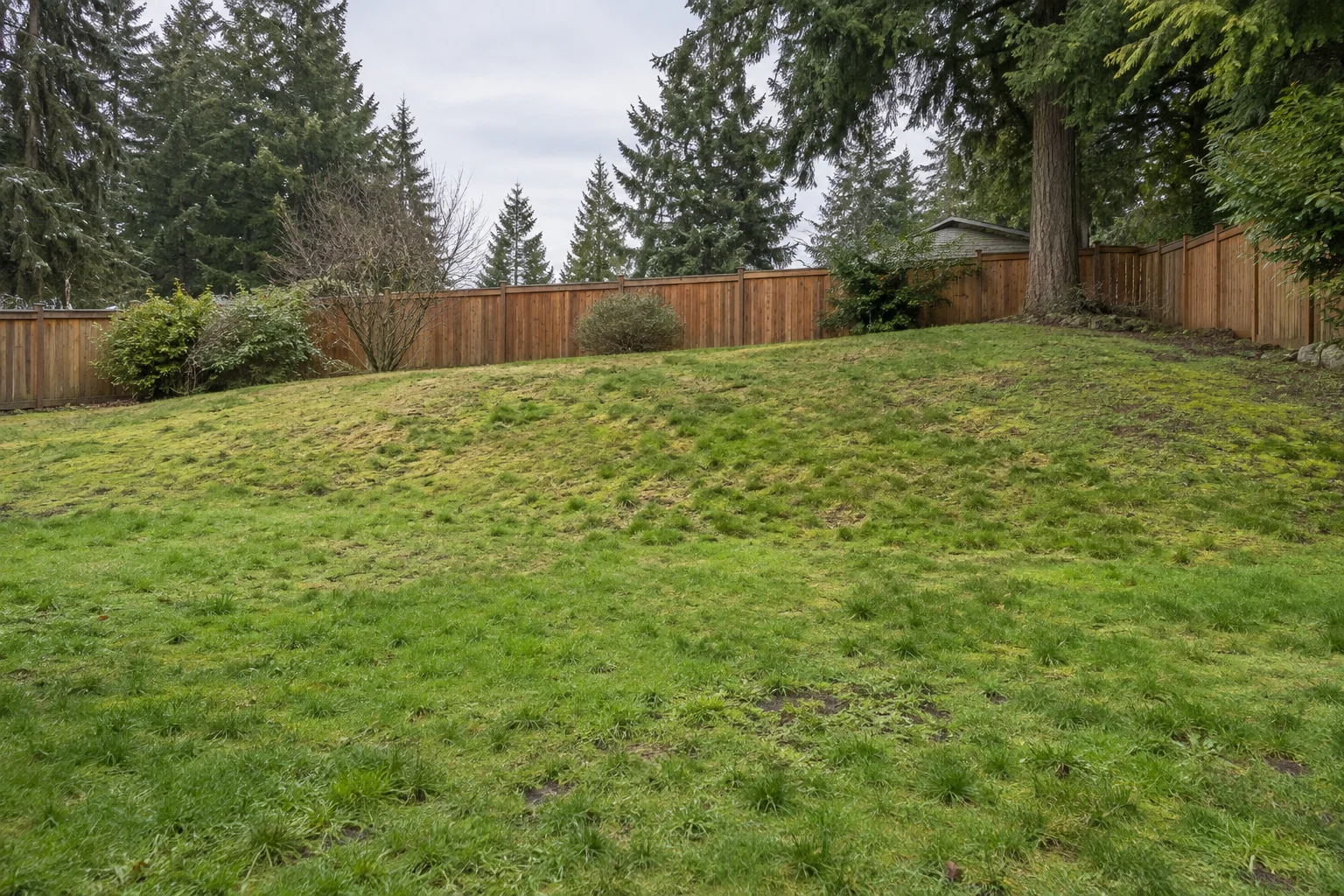 Steep unused grass slope behind a house